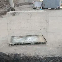 قفس پرنده