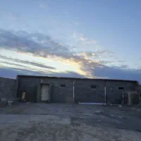 واگذاری-مرغ-داری