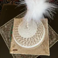 اسکرچر گربه