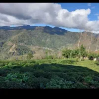 فروش زمین باکاربری مسکونی