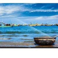 تلویزیون ۵۰ اینچ اسنوا
