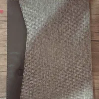 کلاسور