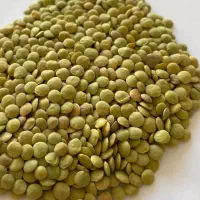 بازاریاب فروش