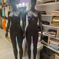 مانکن درحد نو فروش فوری