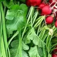 سبزی اشی  خورشتی تمیز با اب چاه