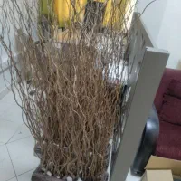 گلدان شاخه خشک
