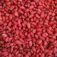 زرشک پفکی کارتن ۱۰ کیلوگرم برای صاحبان کسب‌وکار