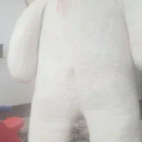 عروسک خرس