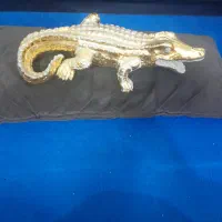 سوسمار دکوری