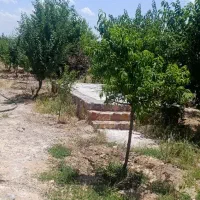 نیازمند به یک نگهبان در سردخانه