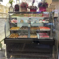 ویترین یخچالی سالم شیشه خمیده