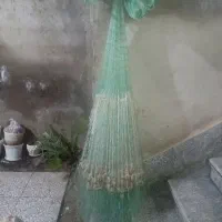 سالیک سیمی ۲۱ باز