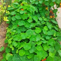 راهنمایی کسب کار