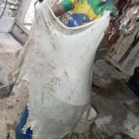 پوست دمامی درجه1 همه سایز