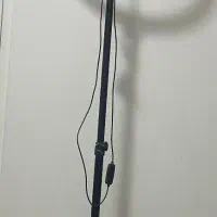 رینگ لایت