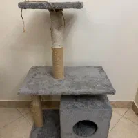 اسکرچر گربه
