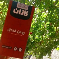 روغن فندق