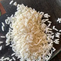 برنج هاشمی