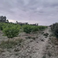 اسکان کارگر سر باغ