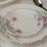 سرویس۱۲نفره آرکوپال آمریکایی