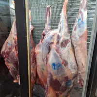 گوشت گرم گوساله