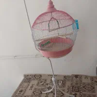 قفس پرنده