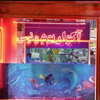 *فروش دیسکس دواینچی . آکواریوم ونوس