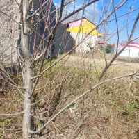 ‌500مترزمین مسکونی(مجوز۲طبقه خانه ویلا)براصلی