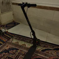 اسکوتر