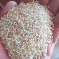 نیمدانهء برنج دودی