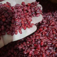زرشک پفکی درجه ۱