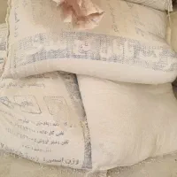 گچ تابان