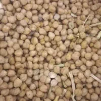 نخد فروشی