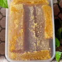 عسل طبیعی  (تخفیف ویژه برای خرید حضوری )