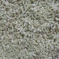 برنج عنبوری با بهتری عطری
