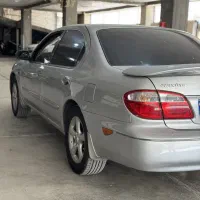 ماکسیما 81