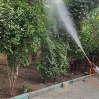 کارهای باغبانی گلکاری هرسکاری سمپاشی صفر تا صد