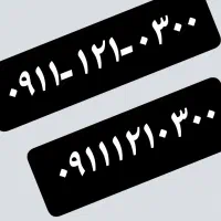 ۰۹۱۱-۱۲۱-۰۳۰۰