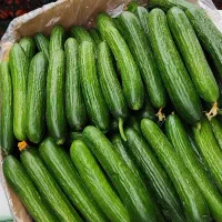 میوه و صیفی جات