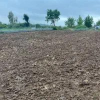 زمین-باغی