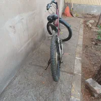 دوچرخه بزرگسال
