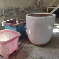 گلدان