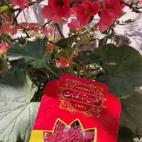 زعفران اقتصادی