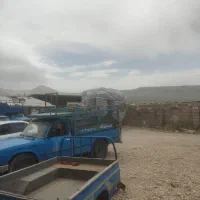 کاه زیر قیمت فوری