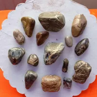 مهره های گبری