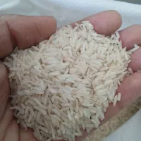 فروش برنج طارم هاشمی ، فجر ، لاشه ، نیم دانه