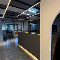 همکار اداری خانم