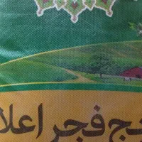 برنج فجر