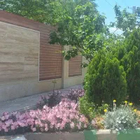 درخت نهال گل باغبان درخت بن بالا پایان کار شهرداری