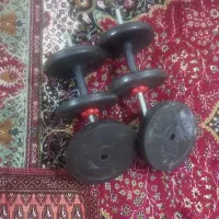 دمبل